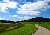 Südschwarzwald 2